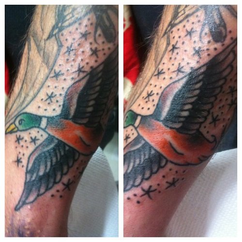 beautiful Colored Flying Duck Tattoo