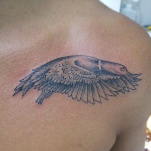 Grey Ink Duck Tattoo On Right Back Shoulder