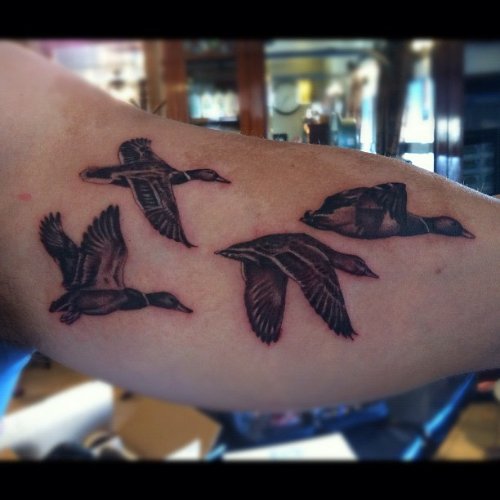 Grey Ink Flying Duck Tattoos On Bicep