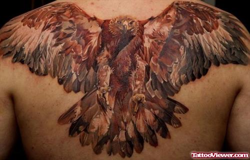 Awesome Colored Eagle Tattoo On Upperback
