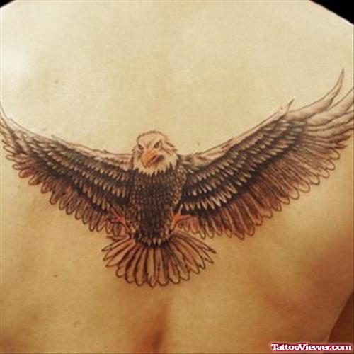 Aguila Eagle Tattoo On Back