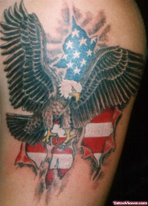 Cute Colored American Eagle Tattoo
