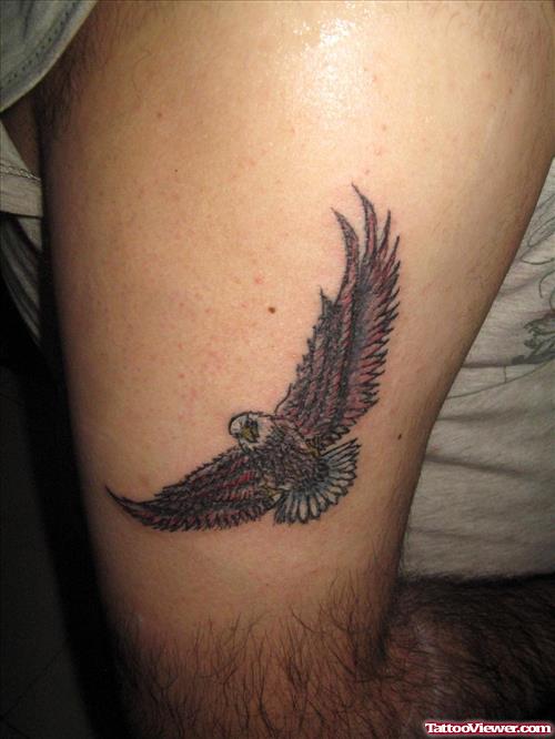 Small Flying Eagle Tattoo On Bicep
