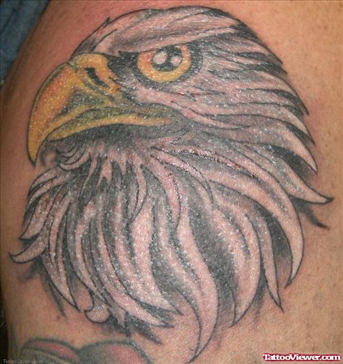 Grey Ink Eagle Head Tattoo