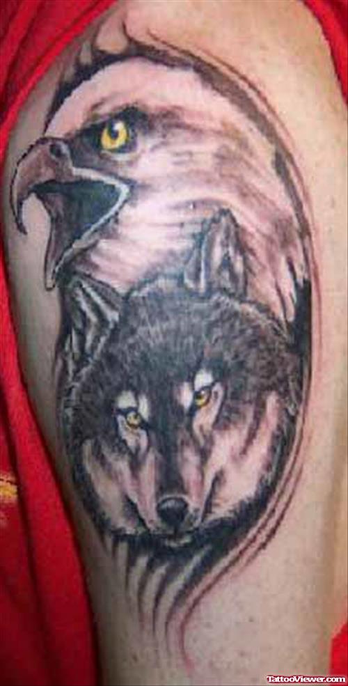 Grey Ink Wolf And Eagle Head Tattoo