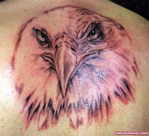Grey Ink Eagle Head Tattoo On Right Back Shoulder