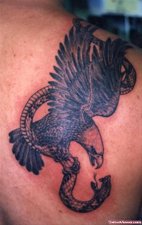 Eagle With Snake Tattoo On right Back Shoulder
