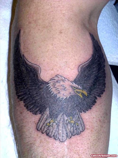 American Bald Eagle Tattoo On Leg