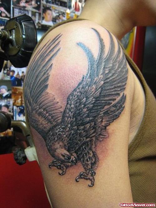 Amazing Eagle Tattoo On Right Shoulder