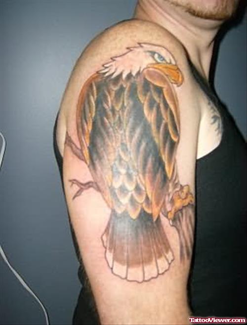 German Eagle Tattoo On Shoulder