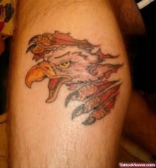 Awesome Crawling Eagle Tattoo