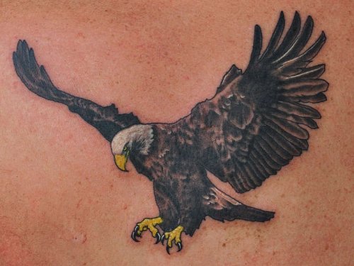 Amazing Flying Eagle Tattoo