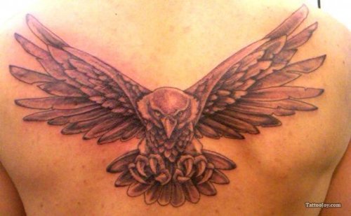 Flying Eagle Tattoo On Man Upperback