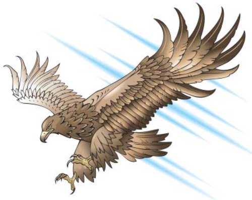 Best Flying Eagle Tattoo Design