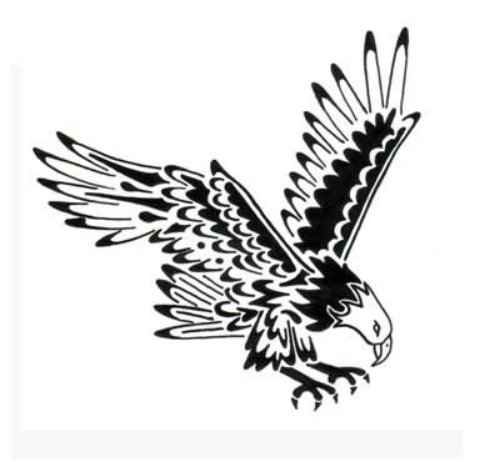 Eagle Tattoo Design For Tattoo