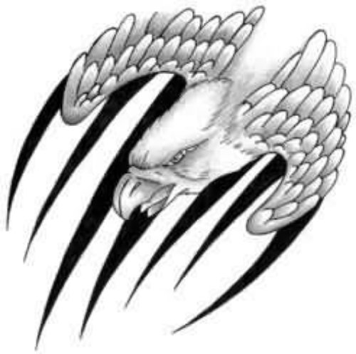 Eagle Wings Tattoo Design