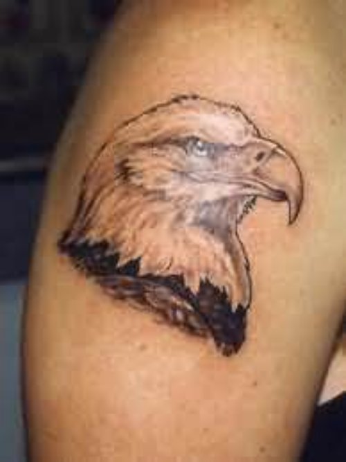 Eagle Face Shoulder Tattoo