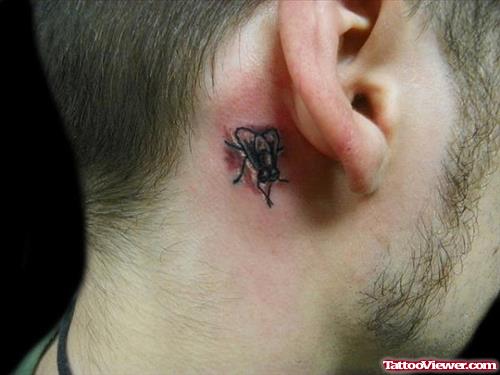 Grey Ink Fly Ear Tattoo Behind Ear