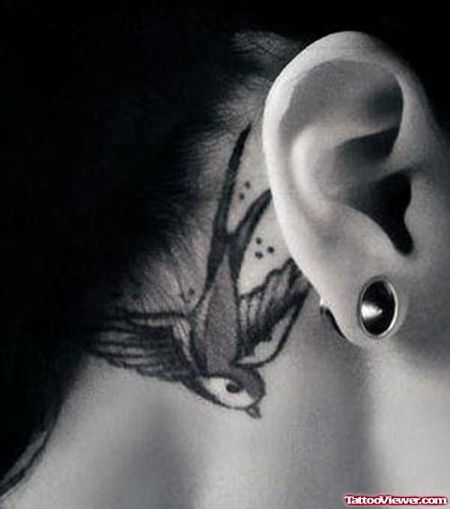Flying Swallow Below Ear Tattoo