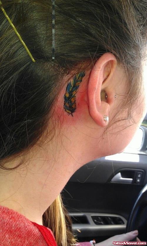 Blue And Yellow Feather Ear Tattoo