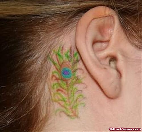 Peacock Feather Tattoo Behind Ear For Girls