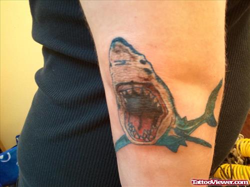 Color Shark Elbow Tattoo