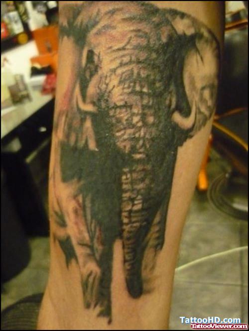Elephant Tattoo On Forearm