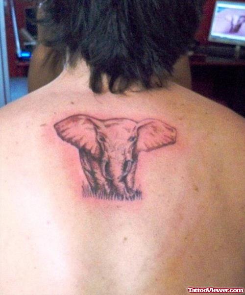 African Elephant Tattoo On Upperback