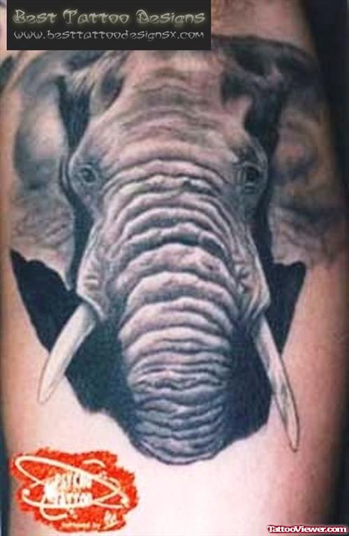 Amazing Grey Ink Elephant Head Tattoo
