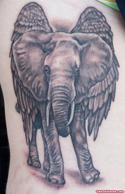 Angel Winged Elephant Tattoo