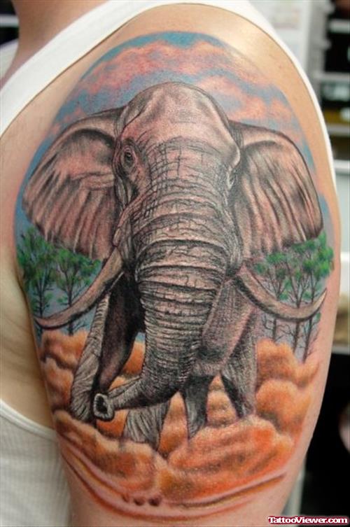 Elephant Tattoo On Guy Left Shoulder