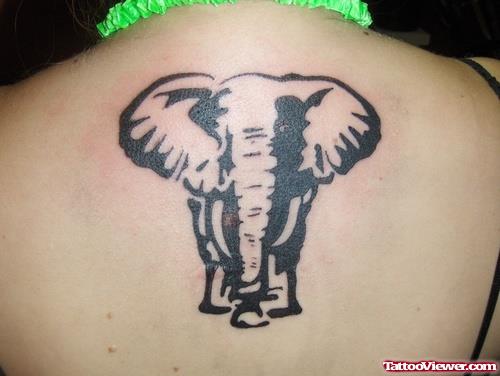 Elephant Tattoo On Girl Upperback