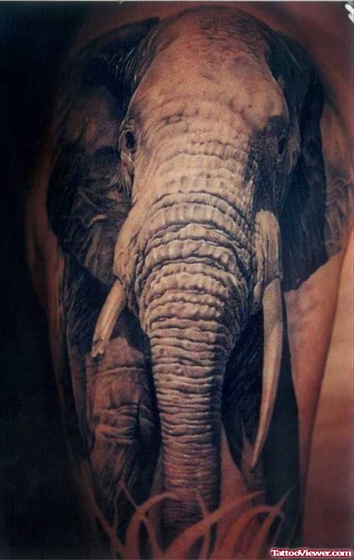 3D Elephant Tattoo On Half Sleeve