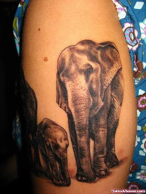 Grey Ink Elephant Tattoos