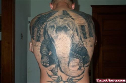 Elephant Tied With Chain Tattoo On Back