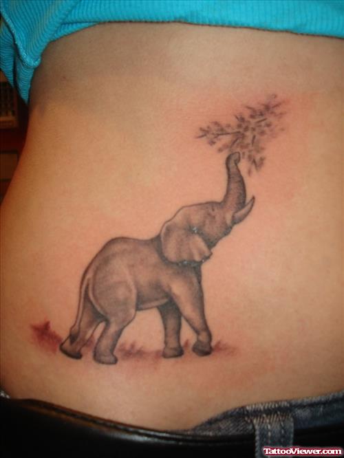 Up Trunk Grey Elephant Tattoo On Waist