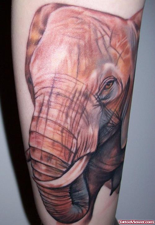 Grey Elephant Head Tattoo