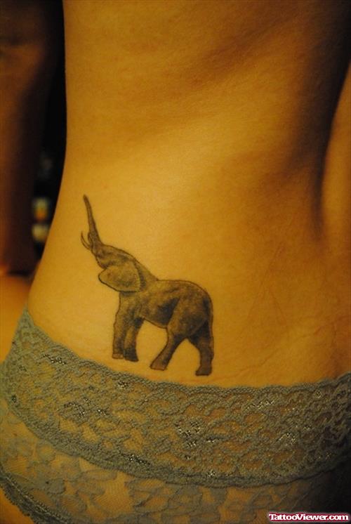 Grey Ink Up Trunk Elephant Tattoo On Waist
