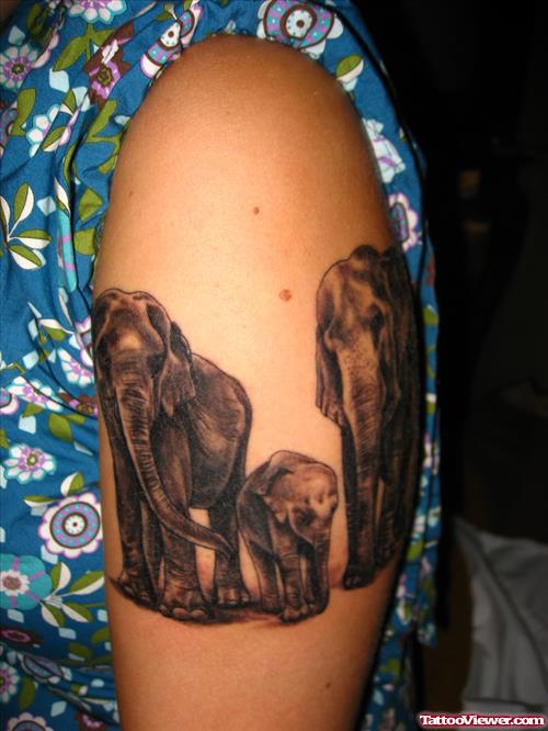Elephant Family Tattoo On Half Sleeve