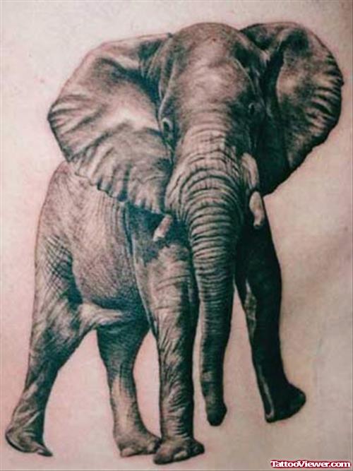 Awful Grey Elephant Tattoo