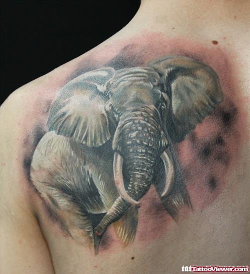 Grey Elephant Tattoo On Shoulder Back