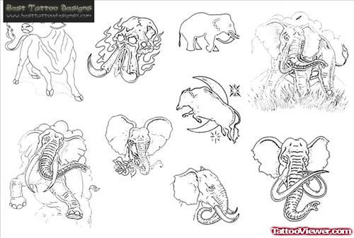Awesome Elephant Head Tattoos Designs