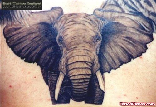 Wild Elephant Tattoo