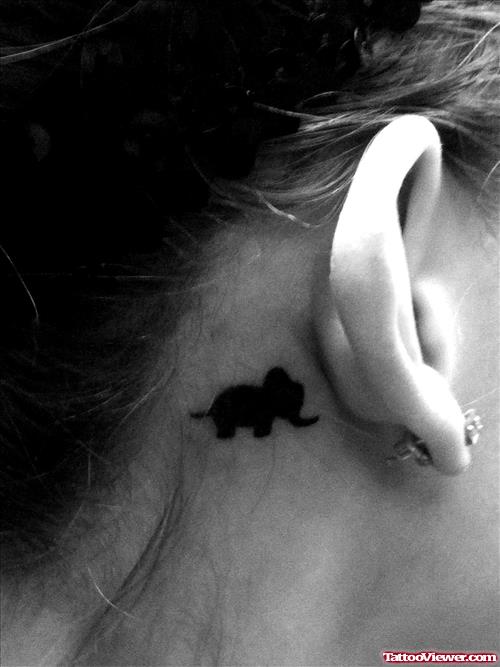 Cute Small Elephant Tattoo Below Ear