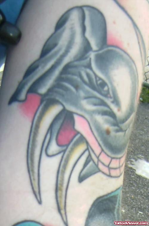 Sean Elephant Tattoo
