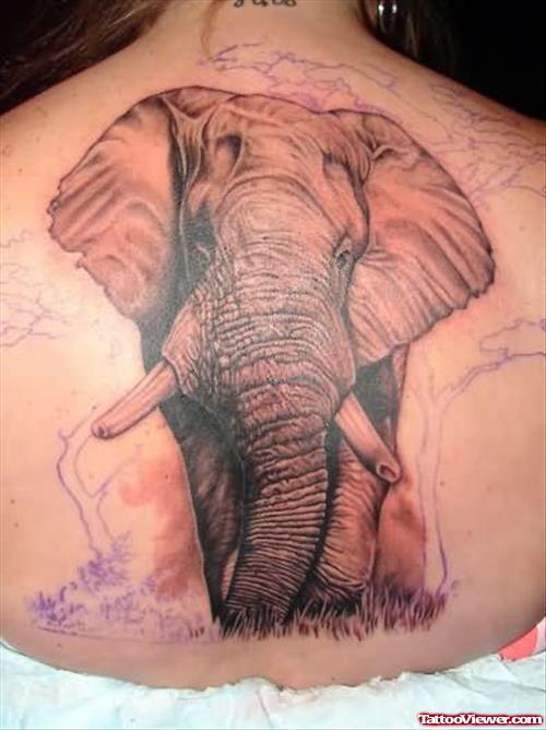 Elephant Tattoo Design On Female Body