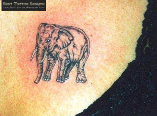 Awesome Grey Elephant Tattoo