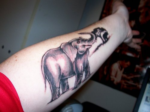 Small Tree And Elephant Tattoo On Left Forearm