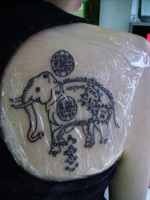 Elephant Tattoo On Right Back Shoulder