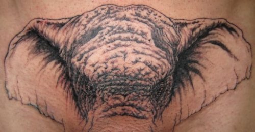Elephant Big Head Tattoo